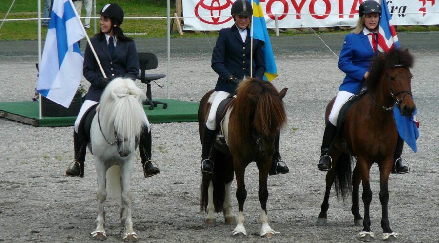 NIHC – official Nordic collaboration for the welfare of the Icelandic horse
