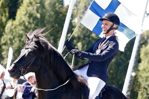 Estimated number of horses competing